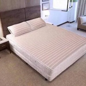 Sản phẩm dem mat cao cap hanvico cm2 300x300 — Nội Thất Đông Á - Nhà Phân Phối Chăn Ga Gối Đệm — MST 8003355277
