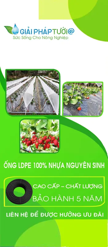 Sản phẩm giai phap tuoi 1 — Trương Khánh Hưng (Giải Pháp Tưới) — MST 8004337390