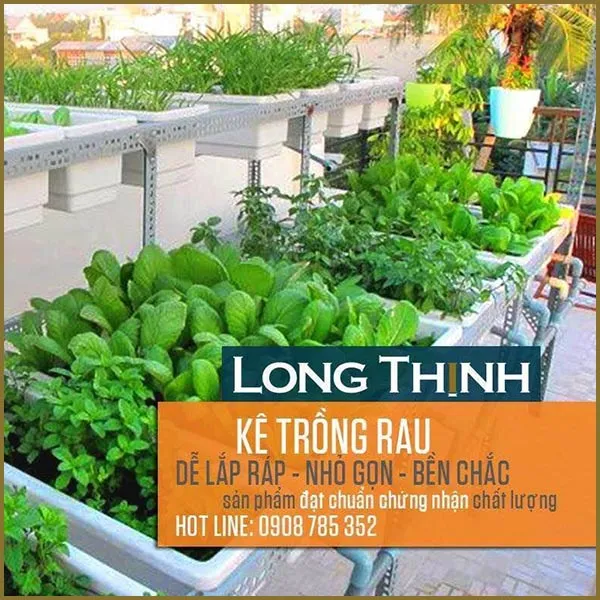 Sản phẩm ke trong rau sach — Thép V Lỗ Đa Năng - Cửa Hàng Long Thịnh — MST 8017164586