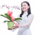 Sản phẩm Gioi thieu hoalansaigon 118x118 — Hoa Lan Xuân Khang — MST 8058603190