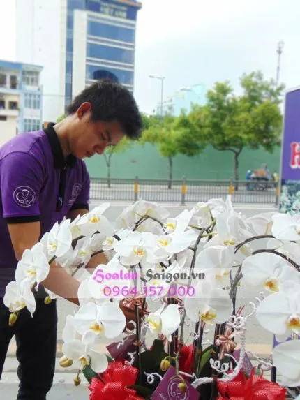 Sản phẩm HD12C1309B 430x573 — Hoa Lan Xuân Khang — MST 8058603190
