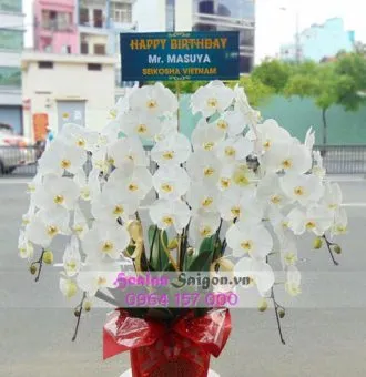 Sản phẩm NB120 330x340 — Hoa Lan Xuân Khang — MST 8058603190