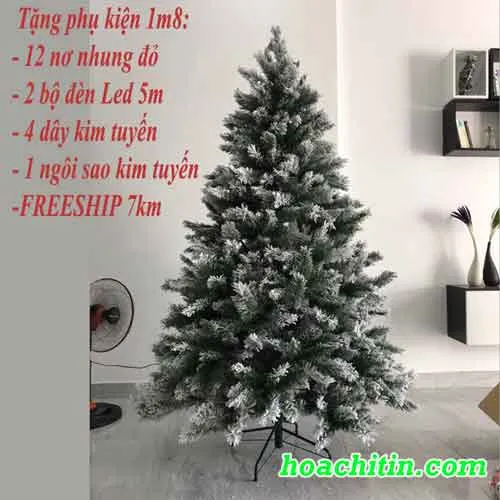 Sản phẩm phu tuyet 1m8 — Công Ty TNHH Hoa Chí Tín — MST 8071022685