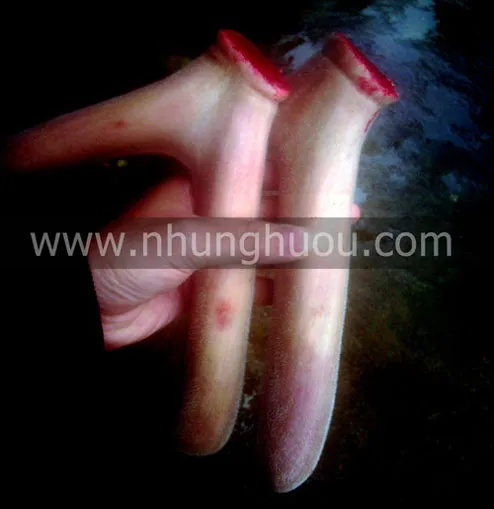 Sản phẩm ban nhung huou huong son — Hợp Tác Xã Dịch Vụ Và Chăn Nuôi Hươu Sơn Diệm — MST 8082838210