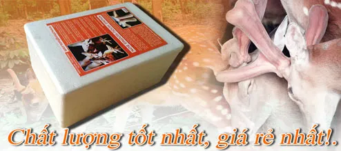 Sản phẩm nhung huou qua tang tet — Hợp Tác Xã Dịch Vụ Và Chăn Nuôi Hươu Sơn Diệm — MST 8082838210