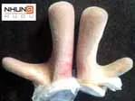 Sản phẩm nhung_tuoi_huong_son dep — Hợp Tác Xã Dịch Vụ Và Chăn Nuôi Hươu Sơn Diệm — MST 8082838210