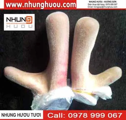 Sản phẩm nhung_tuoi_huong_son — Hợp Tác Xã Dịch Vụ Và Chăn Nuôi Hươu Sơn Diệm — MST 8082838210
