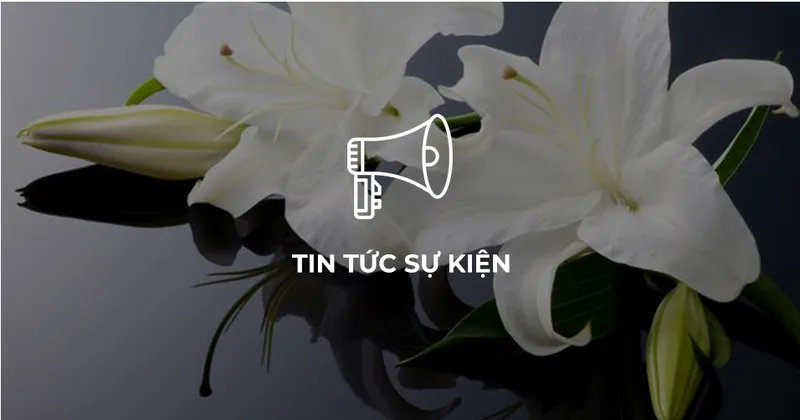 Sản phẩm tintuc — Trại Hòm Đức Thịnh — MST 8111085187