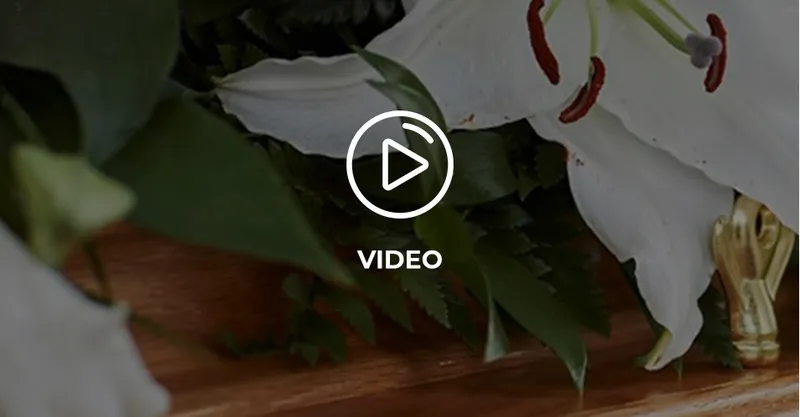 Sản phẩm video — Trại Hòm Đức Thịnh — MST 8111085187