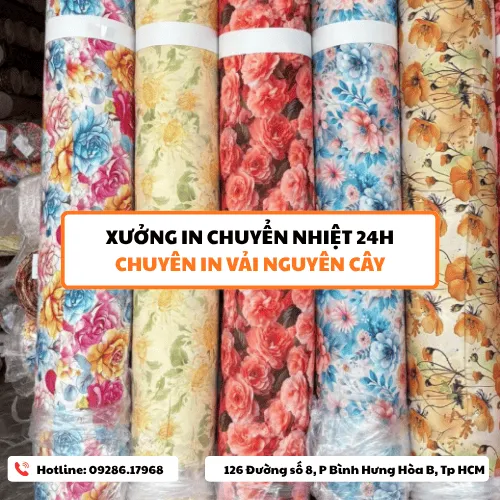 Sản phẩm 3 (1) — Công Ty TNHH TM DV IN24H — MST 8210273470