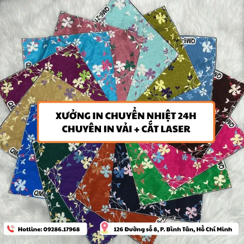 Sản phẩm catlaser (1) (1) — Công Ty TNHH TM DV IN24H — MST 8210273470