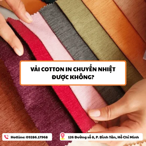 Sản phẩm cotton — Công Ty TNHH TM DV IN24H — MST 8210273470