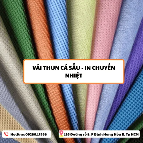 Sản phẩm thuncasau — Công Ty TNHH TM DV IN24H — MST 8210273470