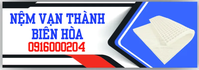 Sản phẩm nem van thanh bien hoa dong nai min — Tổng Kho Nệm — MST 8301976858