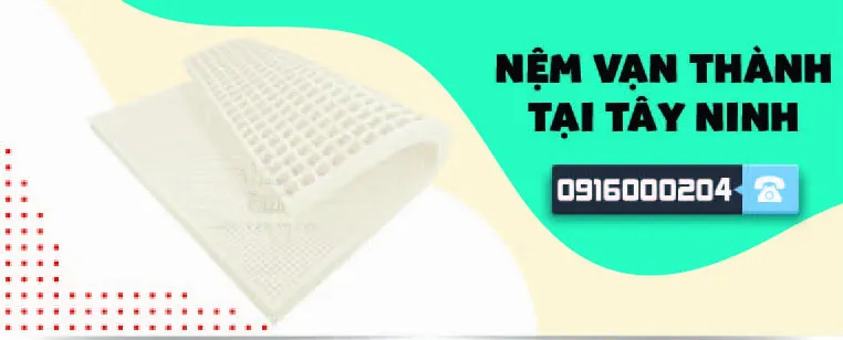 Sản phẩm nem van thanh tai tay ninh min — Tổng Kho Nệm — MST 8301976858