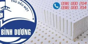 Sản phẩm nem cao su binh duong 300x150 — Tổng Kho Nệm — MST 8301976858