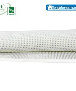 Sản phẩm nem cao su dong phu deluxe 2 min 247x296 — Tổng Kho Nệm — MST 8301976858