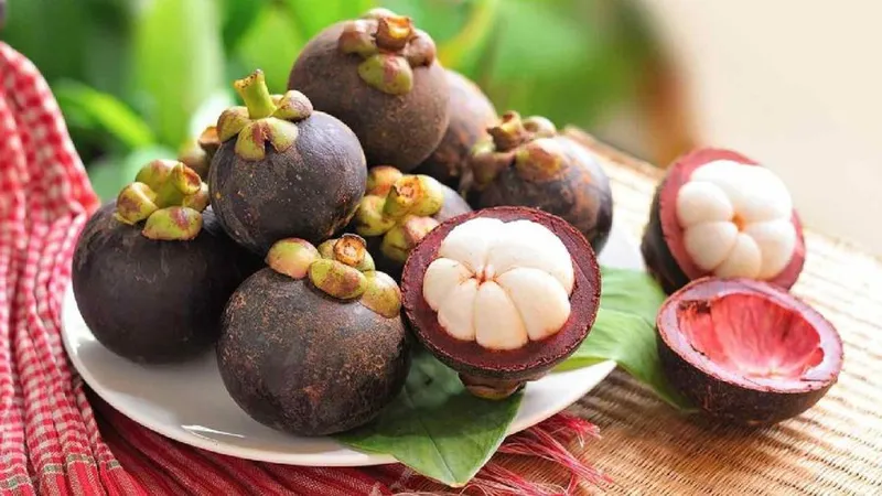 Sản phẩm cach phan biet mang cut lai thieu qua trai nghiem chon trai ngon dung mua cua nguoi sanh an 6ce7347d — Khách Sạn Hoàng Hùng — MST 8333214813