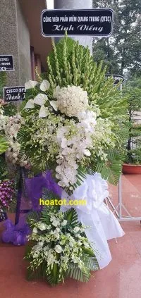 Sản phẩm z2125606961413_4d1994a6d4ee8d7d103e8aeb17ff5503 200x423 — Công Ty Hoa Tốt — MST 8351305291