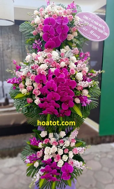 Sản phẩm hoa khai truong 3 tang dep — Công Ty Hoa Tốt — MST 8351305291