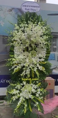 Sản phẩm IMG_20211110_083611 200x409 — Công Ty Hoa Tốt — MST 8351305291