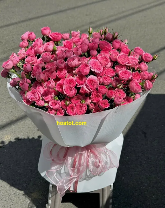 Sản phẩm bo hong sofia — Công Ty Hoa Tốt — MST 8351305291