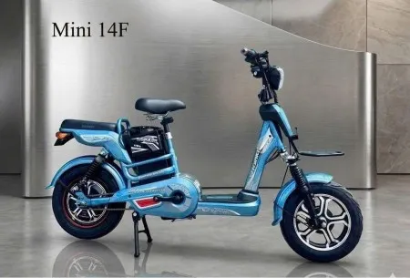 Sản phẩm mini14fxamxanh_450x450 — Cửa Hàng Xe Đạp Ba Chọn — MST 8357846515