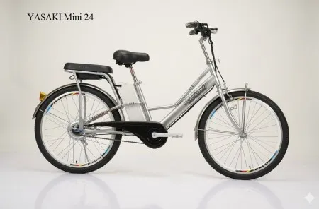 Sản phẩm mini24bac_450x450 — Cửa Hàng Xe Đạp Ba Chọn — MST 8357846515