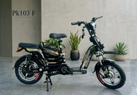 Sản phẩm pk103fden_450x450 — Cửa Hàng Xe Đạp Ba Chọn — MST 8357846515