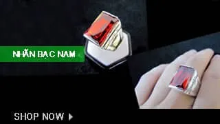 Sản phẩm NHAN BAC NAM 1 — Hộ Kinh Doanh Bạc Minh Cảnh — MST 8363859142