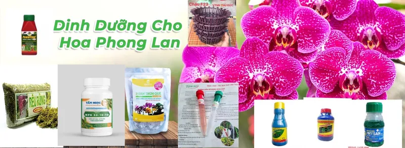 Sản phẩm baner — Hộ Kinh Doanh Phan Văn Long — MST 8411271385