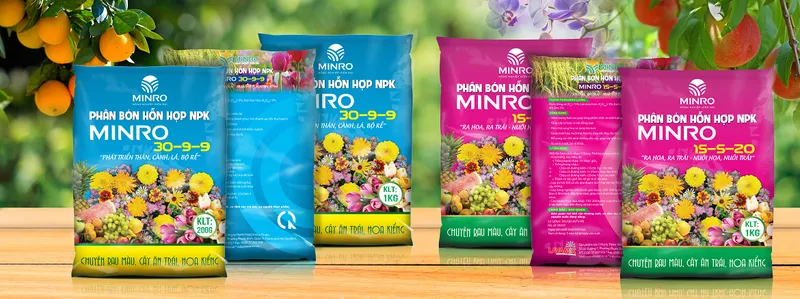 Sản phẩm lavamix — Hộ Kinh Doanh Phan Văn Long — MST 8411271385