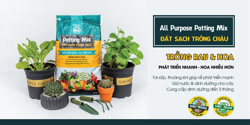 Sản phẩm namix1 — Hộ Kinh Doanh Phan Văn Long — MST 8411271385