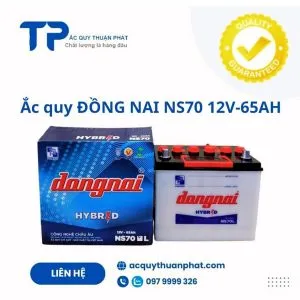 Sản phẩm ac quy dong nai ns70 12v 65ah 1 300x300 — Doanh Nghiệp ắc Quy Thuận Phát — MST 8652634187