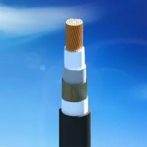 Sản phẩm cap dien luc ruot dong cach dien xlpe giap soi kim loai vo hdpe cxe awa 0 6 1 kv cxe swa 0 6 1 kv 300x300 — Cửa Hàng Thiết Bị Điện Cáp Điện Xanh — MST 8667213907