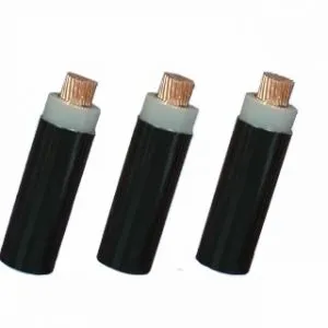 Sản phẩm cap dien luc ruot dong cach dien xlpe vo pvc cxv 0 6 1 kv 300x300 — Cửa Hàng Thiết Bị Điện Cáp Điện Xanh — MST 8667213907